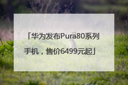 华为发布Pura80系列手机，售价6499元起