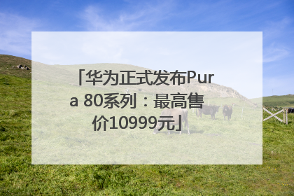 华为正式发布Pura 80系列：最高售价10999元