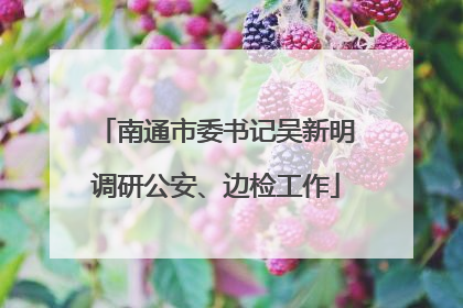 南通市委书记吴新明调研公安、边检工作