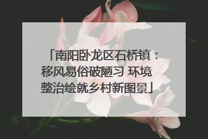 南阳卧龙区石桥镇：移风易俗破陋习 环境整治绘就乡村新图景