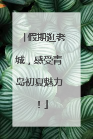 假期逛老城，感受青岛初夏魅力！
