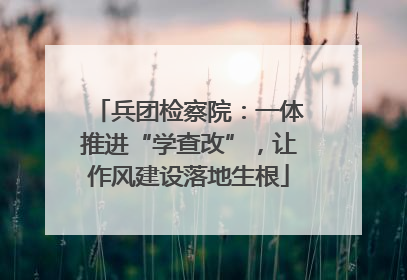 兵团检察院：一体推进“学查改”，让作风建设落地生根