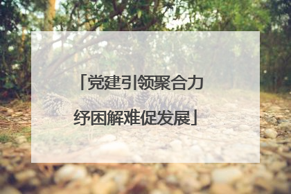 党建引领聚合力 纾困解难促发展