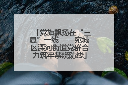 党旗飘扬在“三夏”一线——宛城区溧河街道党群合力筑牢禁烧防线