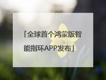 全球首个鸿蒙版智能指环APP发布