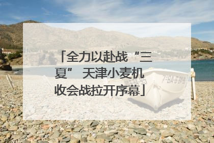 全力以赴战“三夏” 天津小麦机收会战拉开序幕