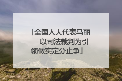 全国人大代表马丽——以司法裁判为引领做实定分止争