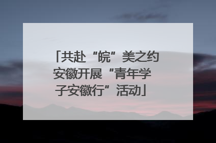 共赴“皖”美之约 安徽开展“青年学子安徽行”活动