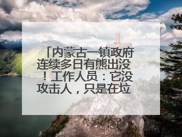 内蒙古一镇政府连续多日有熊出没！工作人员：它没攻击人，只是在垃圾桶翻找食物