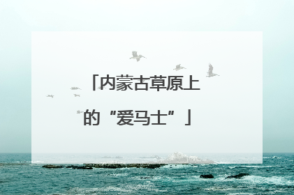 内蒙古草原上的“爱马士”