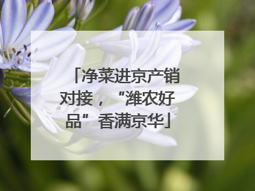 净菜进京产销对接，“潍农好品”香满京华