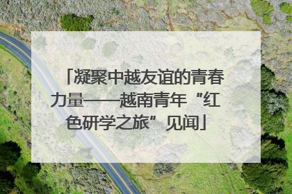 凝聚中越友谊的青春力量——越南青年“红色研学之旅”见闻