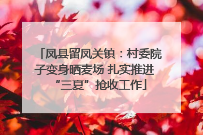 凤县留凤关镇：村委院子变身晒麦场 扎实推进“三夏”抢收工作