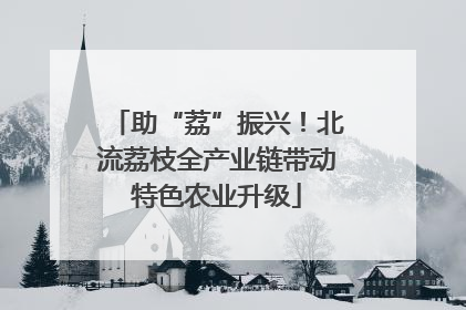助“荔”振兴！北流荔枝全产业链带动特色农业升级