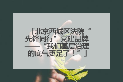 北京西城区法院“先锋同行”党建品牌——“我们基层治理的底气更足了！”