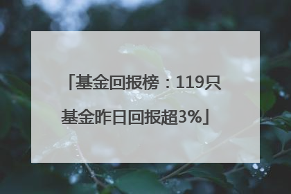 基金回报榜：119只基金昨日回报超3%