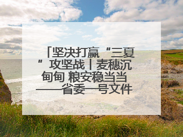 坚决打赢“三夏”攻坚战丨麦穗沉甸甸 粮安稳当当——省委一号文件系列解读①