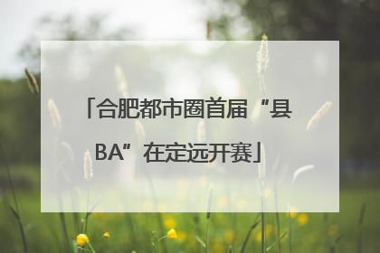 合肥都市圈首届“县BA”在定远开赛