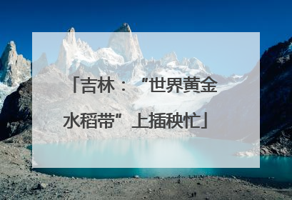吉林：“世界黄金水稻带”上插秧忙