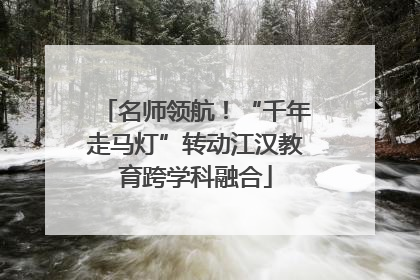 名师领航！“千年走马灯”转动江汉教育跨学科融合