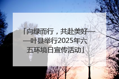 向绿而行，共赴美好——叶县举行2025年六五环境日宣传活动
