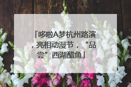 哆啦A梦杭州路演，亮相动漫节，“品尝”西湖醋鱼