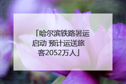 哈尔滨铁路暑运启动 预计运送旅客2052万人