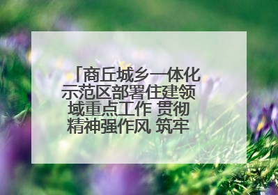 商丘城乡一体化示范区部署住建领域重点工作 贯彻精神强作风 筑牢民生底线促发展