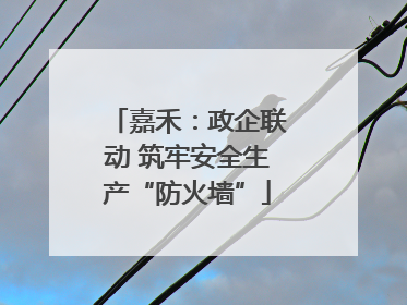 嘉禾：政企联动 筑牢安全生产“防火墙”