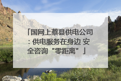 国网上蔡县供电公司：供电服务在身边 安全咨询“零距离”