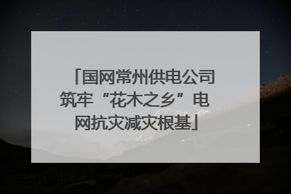 国网常州供电公司筑牢“花木之乡”电网抗灾减灾根基