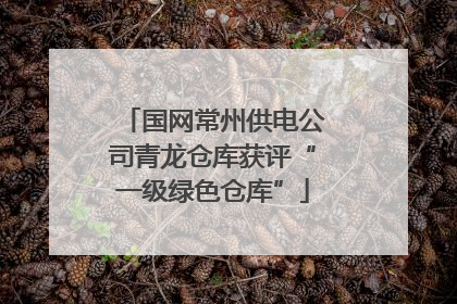 国网常州供电公司青龙仓库获评“一级绿色仓库”