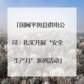 国网平舆县供电公司：扎实开展“安全生产月”系列活动
