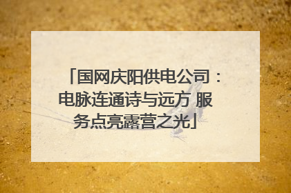 国网庆阳供电公司：电脉连通诗与远方 服务点亮露营之光