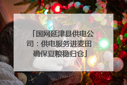 国网延津县供电公司：供电服务进麦田 确保夏粮稳归仓