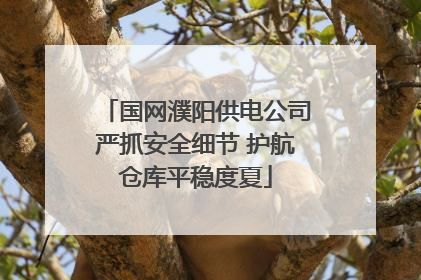 国网濮阳供电公司严抓安全细节 护航仓库平稳度夏