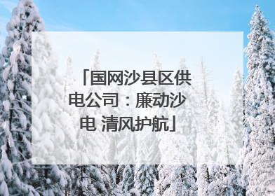 国网沙县区供电公司：廉动沙电 清风护航