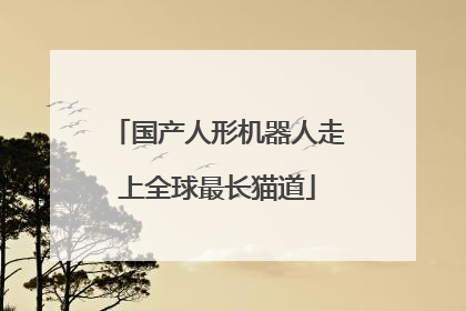 国产人形机器人走上全球最长猫道