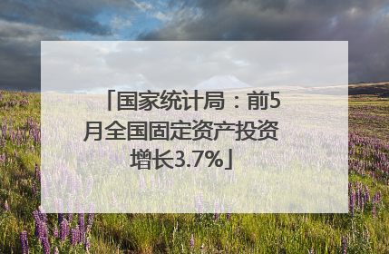 国家统计局：前5月全国固定资产投资增长3.7%