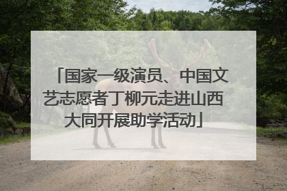 国家一级演员、中国文艺志愿者丁柳元走进山西大同开展助学活动