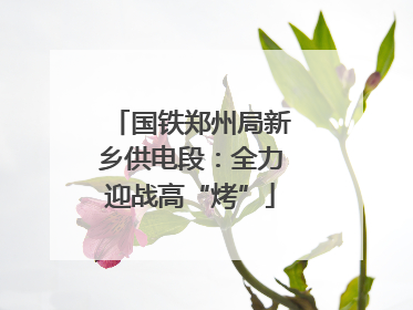 国铁郑州局新乡供电段：全力迎战高“烤”