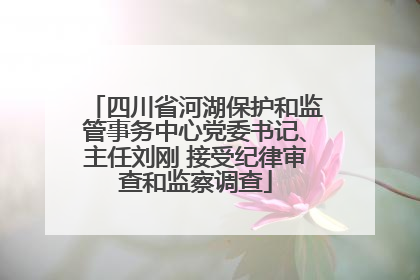 四川省河湖保护和监管事务中心党委书记、主任刘刚 接受纪律审查和监察调查