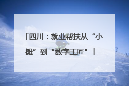 四川：就业帮扶从“小摊”到“数字工匠”