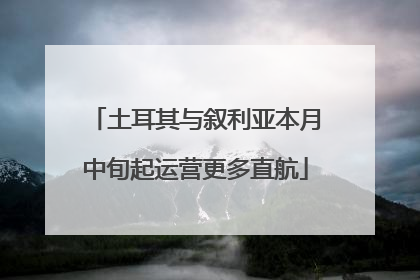 土耳其与叙利亚本月中旬起运营更多直航