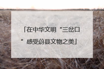 在中华文明“三岔口”感受蔚县文物之美