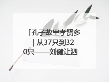 孔子故里孝贤多｜从37只到320只——刘健让泗水裘皮羊重生