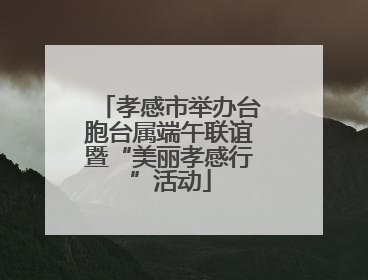 孝感市举办台胞台属端午联谊暨“美丽孝感行”活动