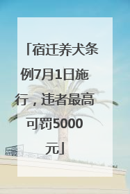 宿迁养犬条例7月1日施行，违者最高可罚5000元