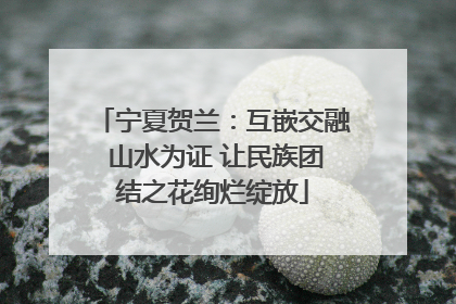 宁夏贺兰：互嵌交融 山水为证 让民族团结之花绚烂绽放
