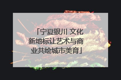 宁夏银川 文化新地标让艺术与商业共绘城市美育